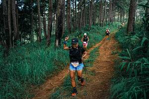 BIB: 
                            <button type="button" onclick="openModal(25753641)" class="btn btn-primary btn-sm float-right btn-popup" data-toggle="modal" data-target=".modal-high-quality">
                        <i class="fas fa-shopping-cart"></i> Add to Cart
                    </button>
                                            <button type="button" onclick="isThisMe(25753641, true)" class="btn btn-success btn-sm float-right btn-popup btn-isme hidden" data-toggle="tooltip" data-placement="bottom" title="นี่คือรูปของคุณใช่ไหม คลิกที่นี่เพื่อเอาเข้าอัลบั้ม">
                        <i class="fas fa-plus"></i> Add to album
                    </button>
                    <button type="button" onclick="isThisMe(25753641, false)" class="btn btn-warning btn-sm float-right btn-popup btn-isnotme hidden">
                        <i class="fas fa-ban"></i> Remove from album
                    </button>